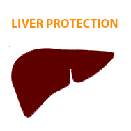 Protección del hígado
